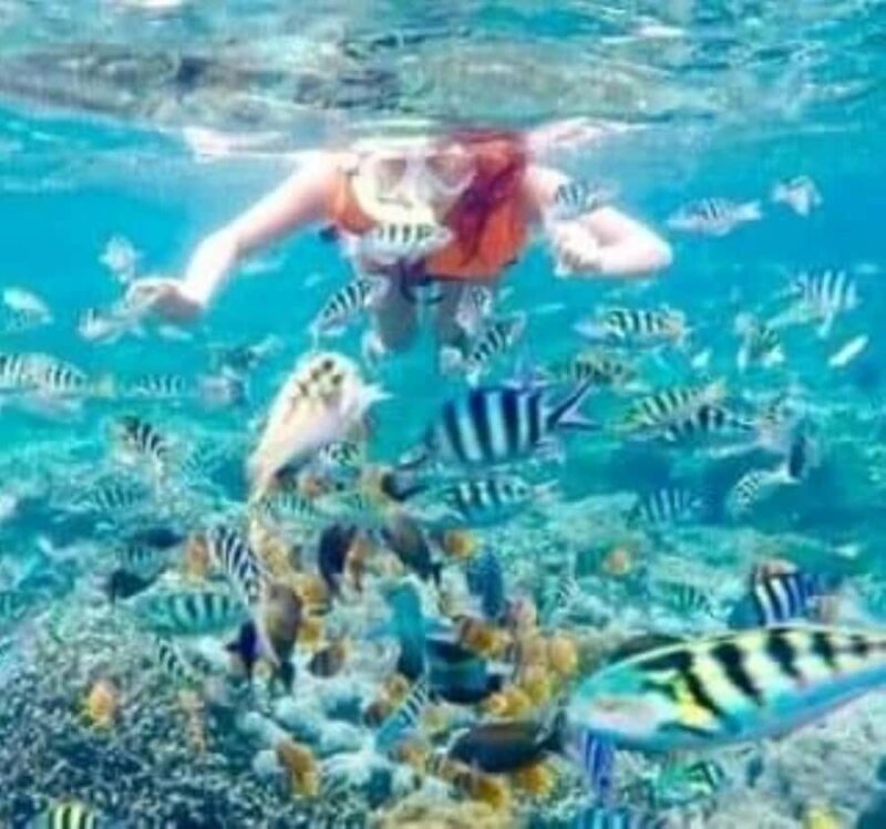 SNORKELING AT BLUELAGOON SPOT - The Allure of Blue Lagoon: Why It’s a Must-Visit
