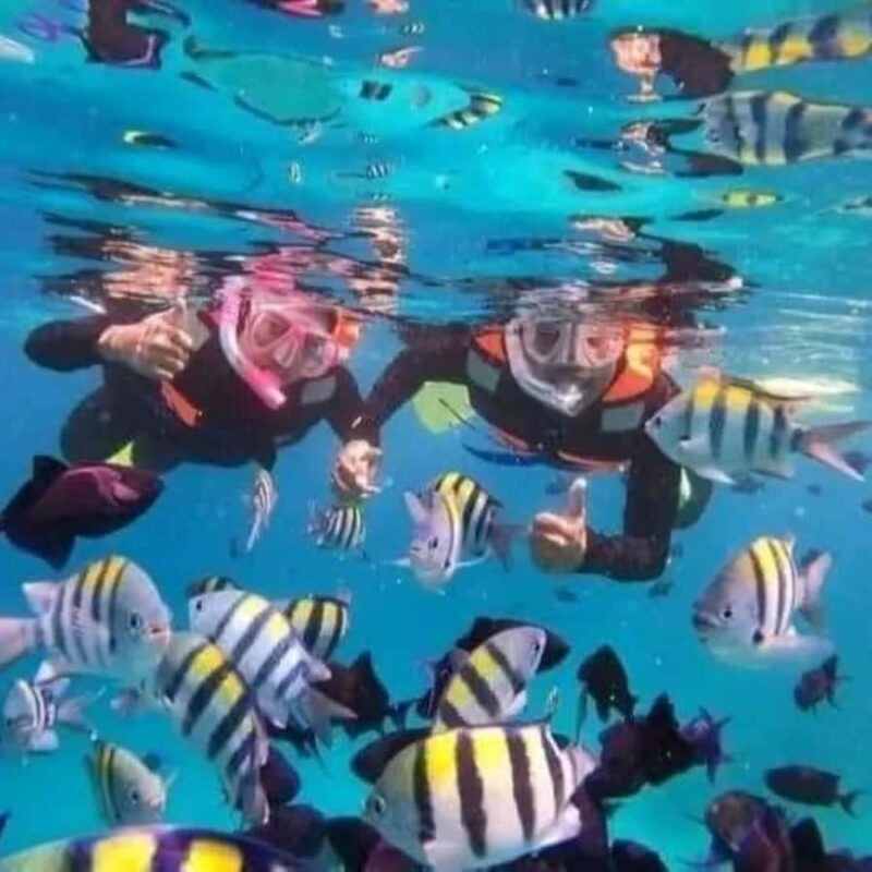 SNORKELING AT BLUELAGOON SPOT - The Guide and Group Experience