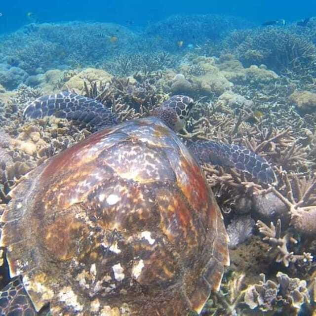 SNORKELING AT BLUELAGOON SPOT - Transportation and Timing