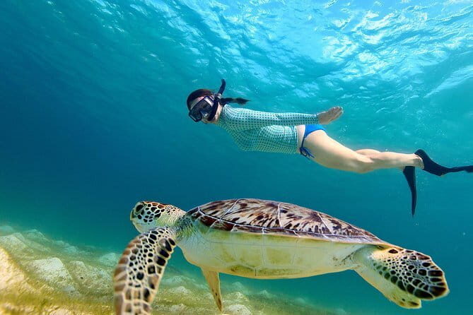 Snorkeling at Hikkaduwa - Good To Know