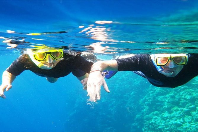 Snorkeling at Mahmya Island From Hurghada - Additional Information