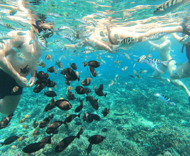 Snorkeling at Manta Point and 3 Other in Nusa Penida - Important Information and Restrictions