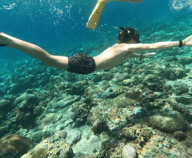Snorkeling at Manta Point and 3 Other in Nusa Penida - Best Time to Visit