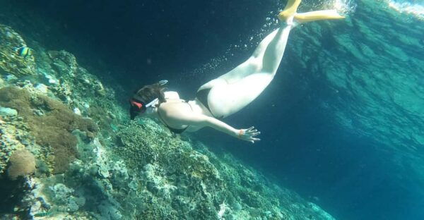 Snorkeling at Manta Point and 3 Other in Nusa Penida - Environmental Conservation Efforts