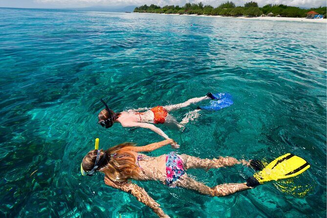 Snorkeling at Manta Point, the most chance to see Manta Rays - Who Should Consider This Tour?