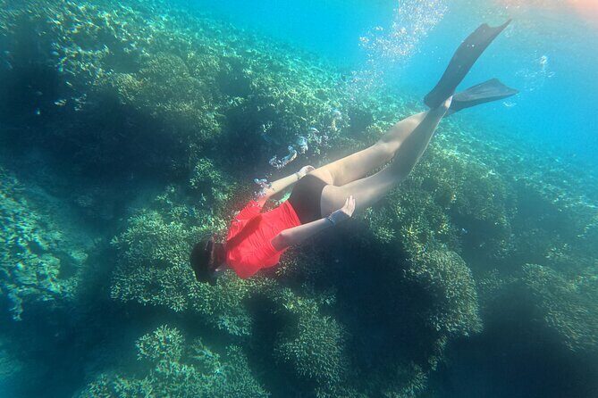 Snorkeling at Menjangan Island Bali Hidden Underwater Gem - The Experience – What You Can Expect