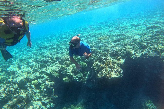 Snorkeling at Menjangan Island Bali Hidden Underwater Gem - The Sum Up