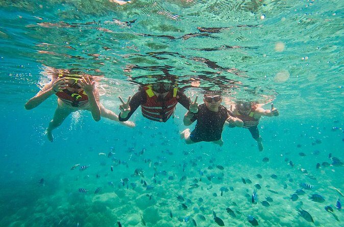 Snorkeling at Nha Trang Bay - Authentic Experiences & Tips from Reviewers