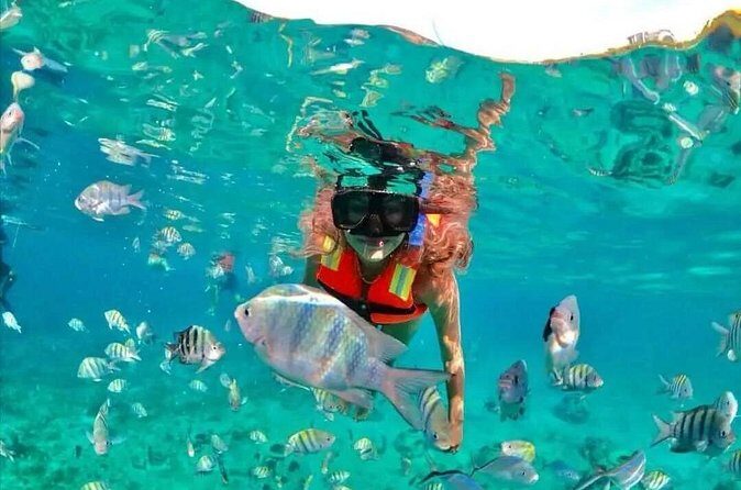 Snorkeling at Nha Trang Bay - Final Words