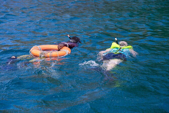 Snorkeling at Pigeon Island - The Authentic Experience: Reviews and Insights