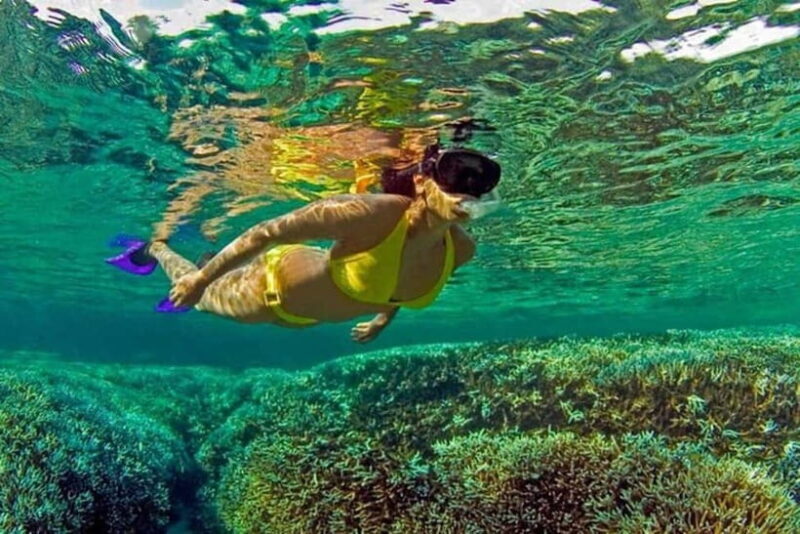 Snorkeling at Pigeon Island Trincomalee - Good To Know
