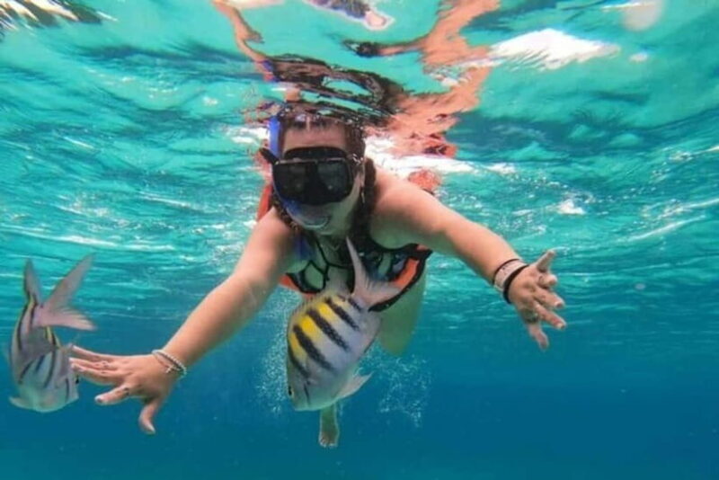 Snorkeling at Pigeon Island Trincomalee - Introduction to the Pigeon Island Snorkeling Experience