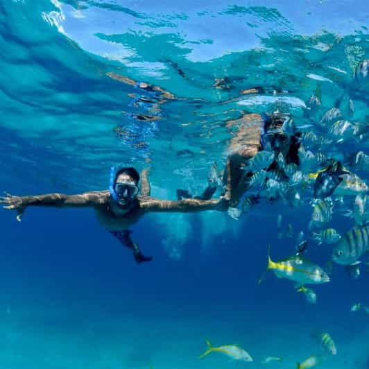 Snorkeling at Puerto Morelos Reefs National Park - Good To Know