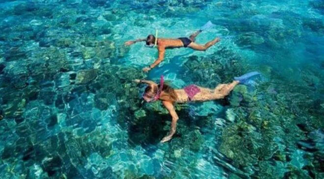 Snorkeling at Puerto Morelos Reefs National Park - Inclusions and What to Expect