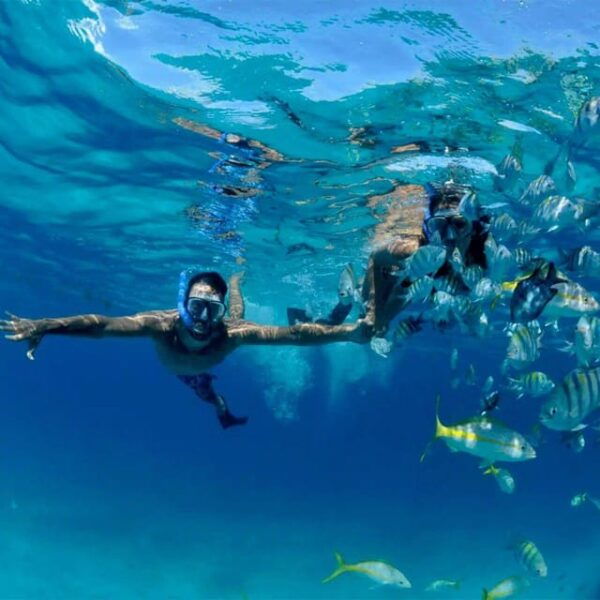 Snorkeling at Puerto Morelos Reefs National Park - Frequently Asked Questions