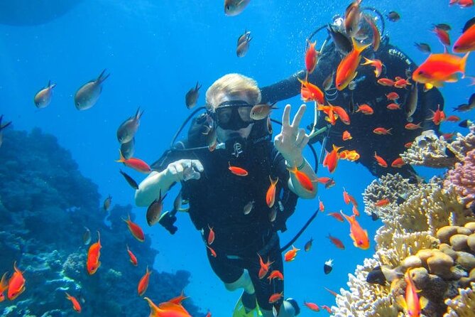 Snorkeling at Ras Mohamed in Sharm El Sheikh - Good To Know
