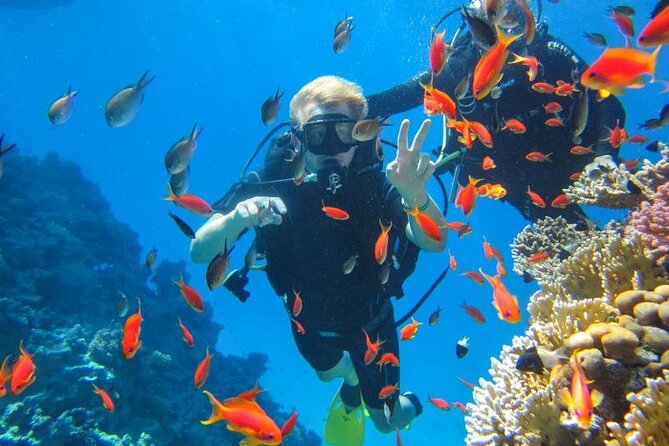 Snorkeling at Ras Mohamed in Sharm El Sheikh - Requirements and Recommendations