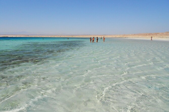 Snorkeling at Sharm El Luli Beach in Marsa Alam - Capturing Unforgettable Memories