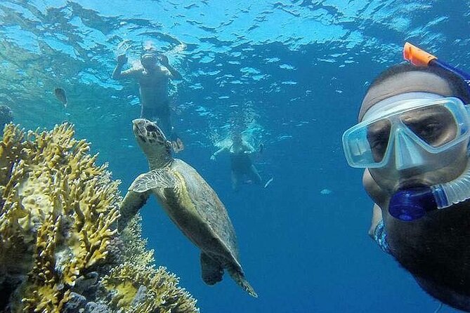 Snorkeling at Sharm El Luli Beach in Marsa Alam - Frequently Asked Questions