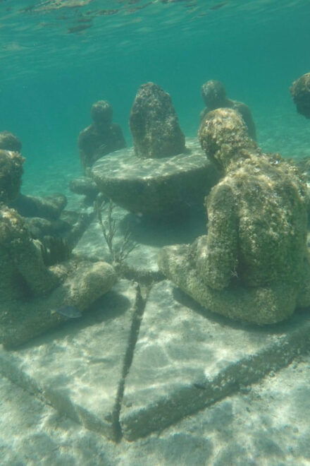 Snorkeling at the Aquatic Museum - Inclusions