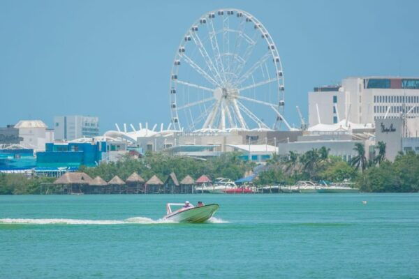 Snorkeling at the Aquatic Museum - Exploring Mangroves