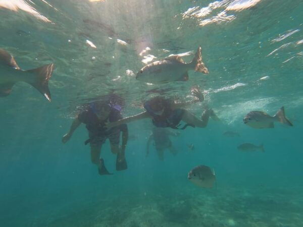 Snorkeling at the Aquatic Museum - Frequently Asked Questions