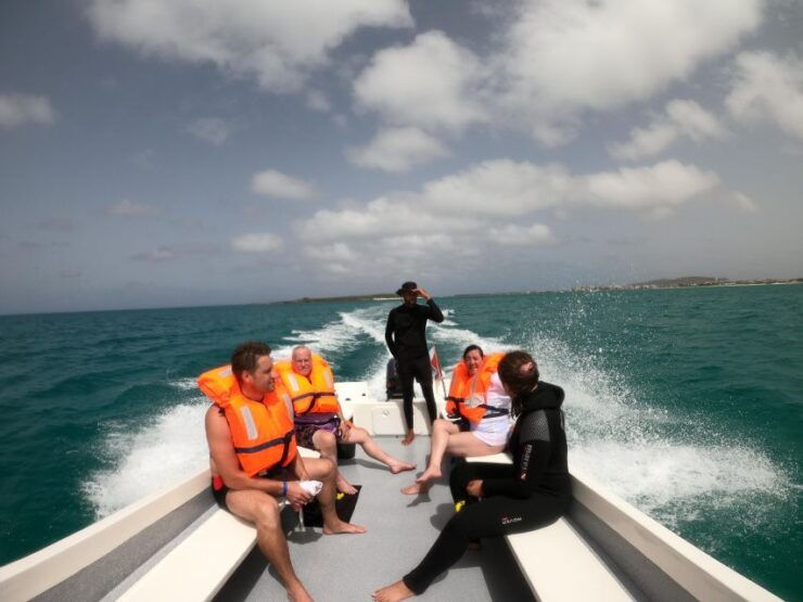 Snorkeling at the Bay - Experience Highlights