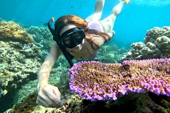 Snorkeling Blue Lagoon With lunch - Good To Know