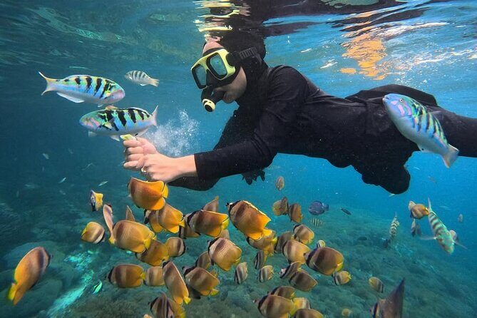 Snorkeling Blue Lagoon With lunch - Why You’ll Love Snorkeling at Blue Lagoon