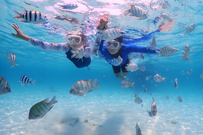 Snorkeling Blue Lagoon With Lunch & Waterfall - Adventure at Blue Lagoon