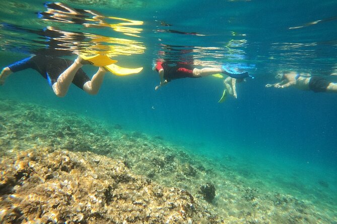 Snorkeling Boat Excursions in Nea Makri Athens - Traveler Photos and Reviews