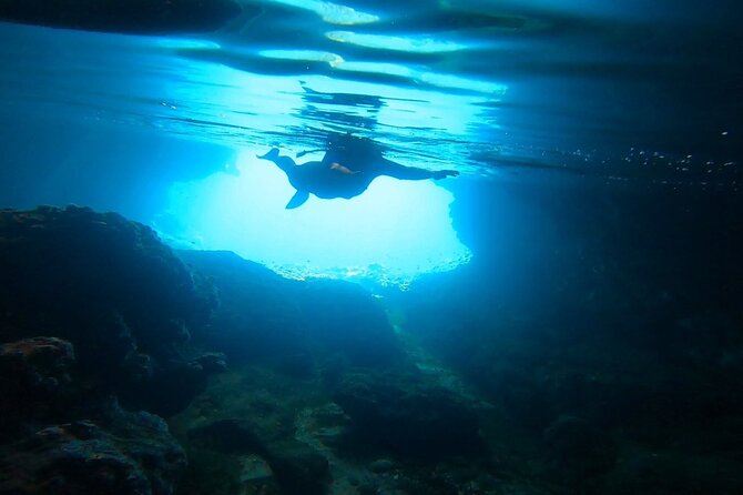 Snorkeling Boat Excursions in Nea Makri Athens - Common Questions