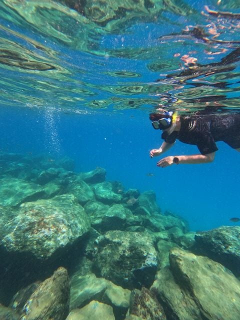 Snorkeling Boat Trip in Marine Turtles Natural Habitat - Good To Know