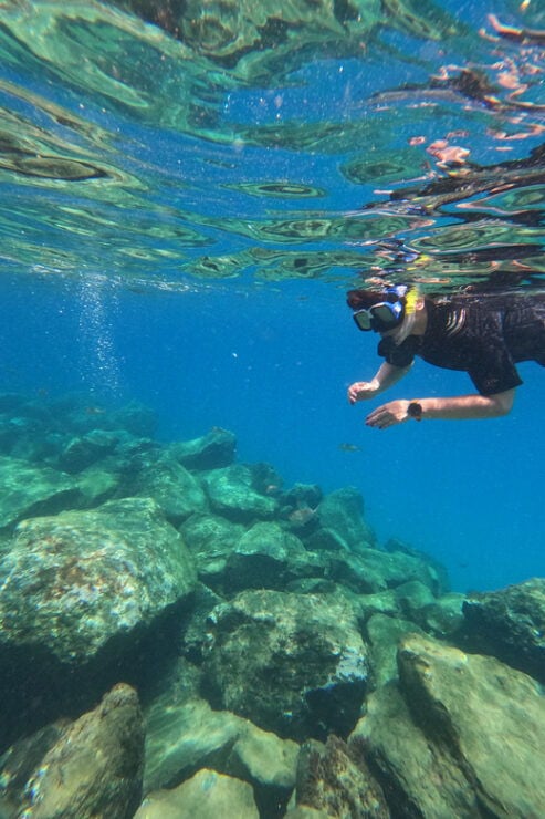 Snorkeling Boat Trip in Marine Turtles Natural Habitat - Booking Information