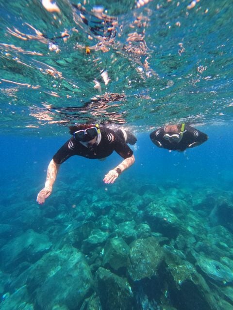 Snorkeling Boat Trip in Marine Turtles Natural Habitat - Meeting Point