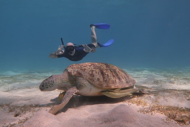 Snorkeling Boat Trip With Dugongs and Turtles in Marsa Alam - Inclusions