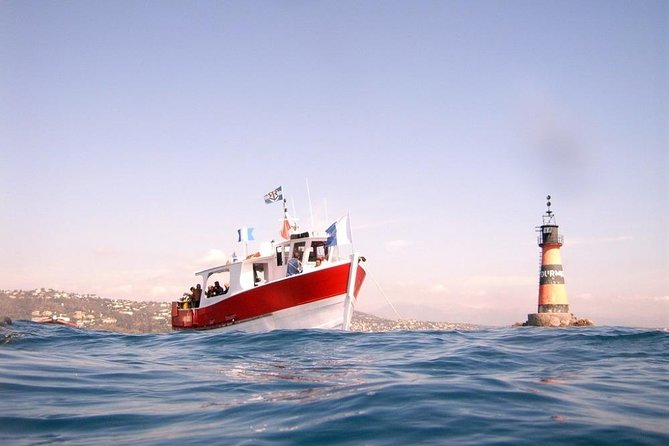 Snorkeling - by Boat on Site in the Bay of Cannes or Estérel - Reviews and Testimonials