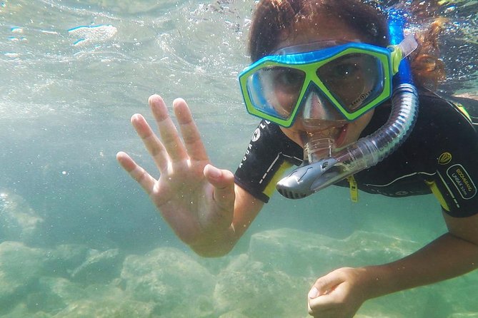 Snorkeling - by Boat on Site in the Bay of Cannes or Estérel - Common Questions