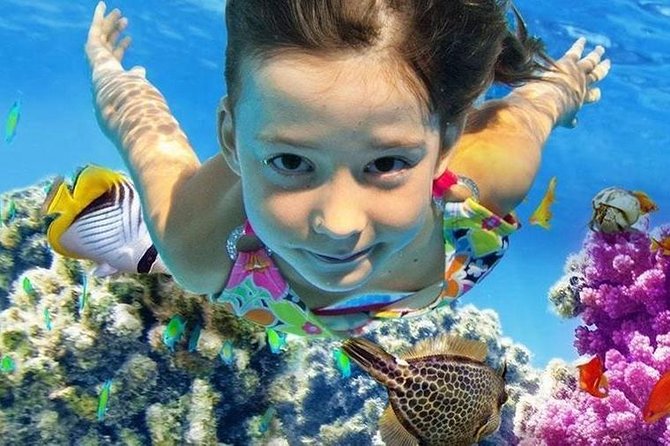 Snorkeling by Boat to Ras Mohamed - Included Amenities and Services