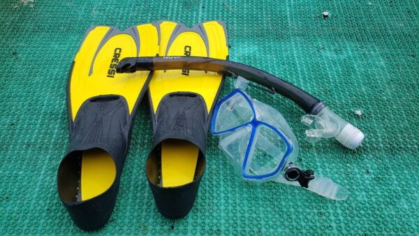Snorkeling Cham Island: Snorkeling Tour by Speed Boat - Common Questions