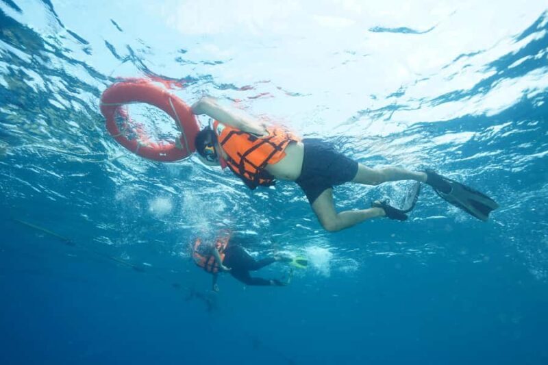 Snorkeling course, become a confident snorkeler. - Who Should Consider This Experience?