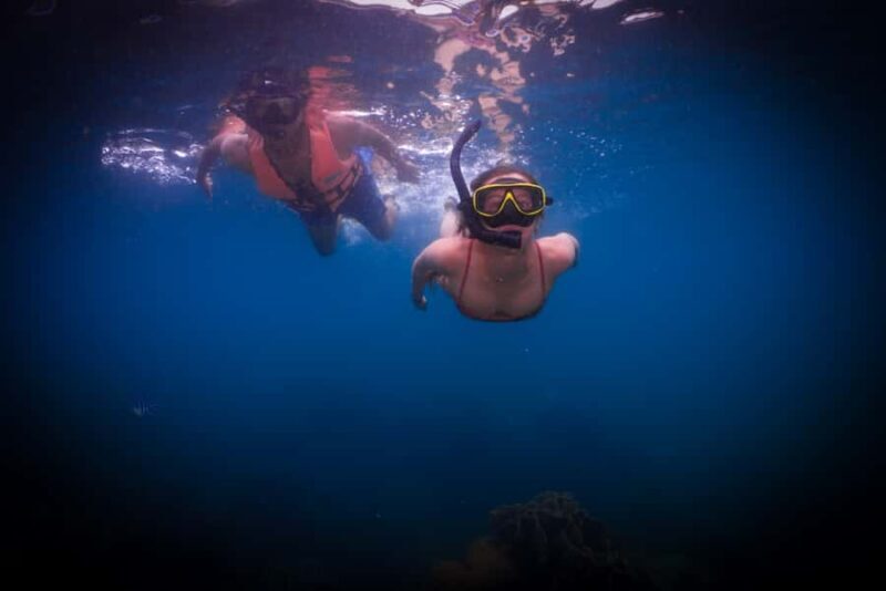 Snorkeling course, become a confident snorkeler. - FAQs