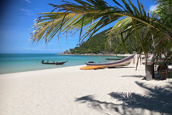 Snorkeling Day Around Koh Phangan - Marine Life and Coral Reefs in Koh Phangan