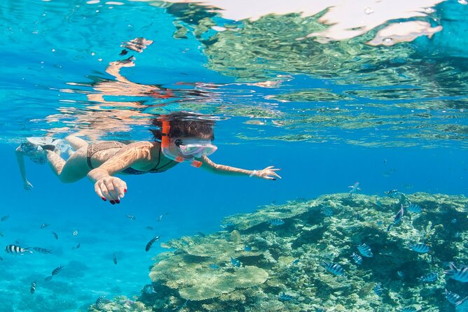 Snorkeling Day in White Island and Ras Mohamed - The Sum Up