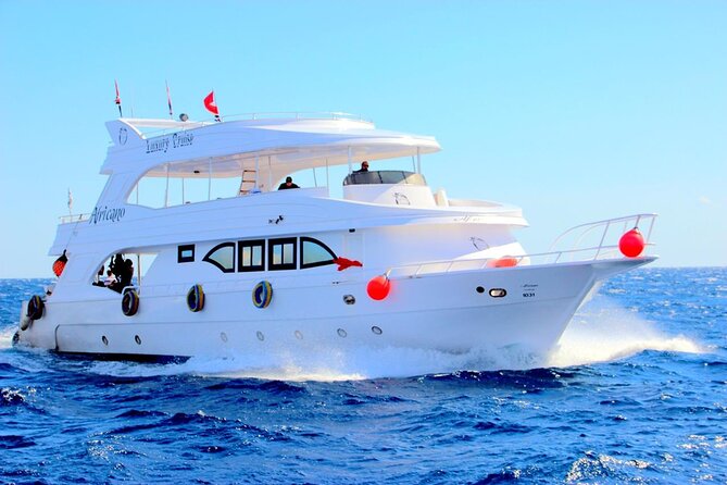 Snorkeling Day Trip By VIP Boat To White Island -Sharm El Sheikh - The Sum Up