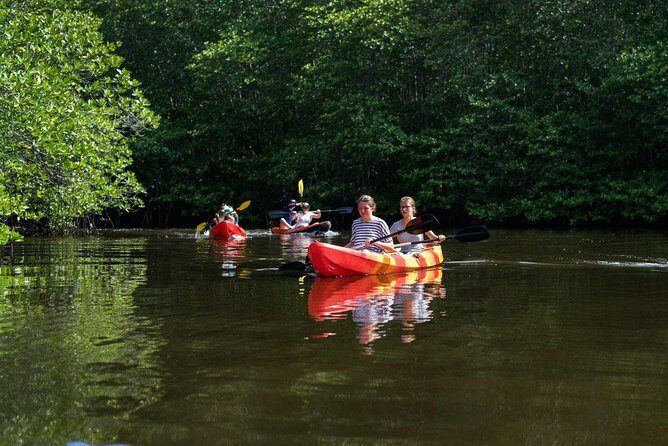 Snorkeling Day Trip To Lembongan and Penida - Who Is This Tour Best For?