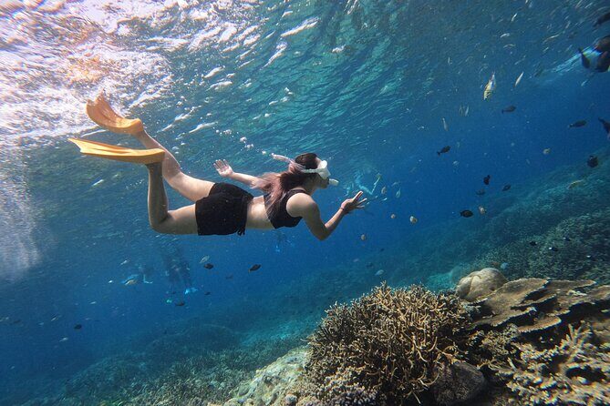 Snorkeling Day Trip to Nusa Lembongan and Nusa Penida - Who Should Consider This Tour?