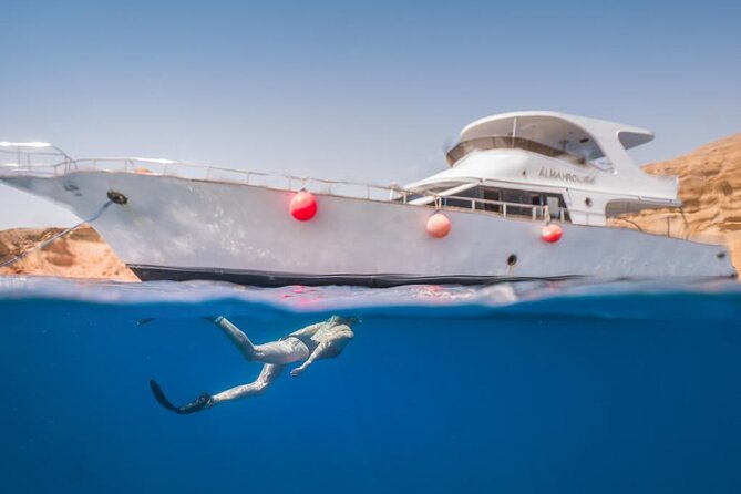 Snorkeling Day Trip to White Island and Ras Mohamed From Sharm - Customer Testimonials