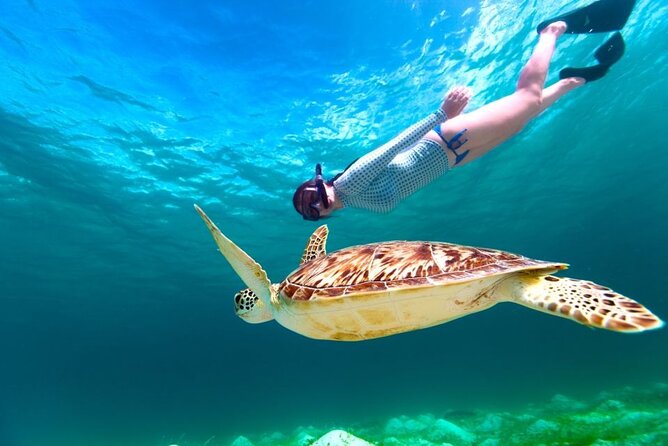 Snorkeling Day With Dugong And Turtles Marsa Mubarak - Marsa Alam - Good To Know