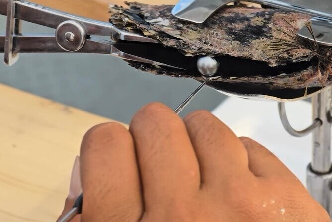 Snorkeling Discovery DE the Black Pearl and Lunch in Bora Bora - Good To Know